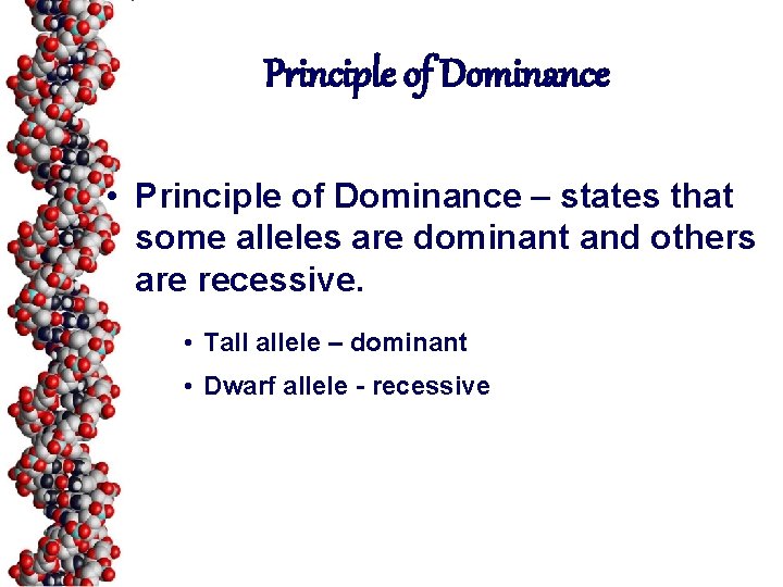 Principle of Dominance • Principle of Dominance – states that some alleles are dominant