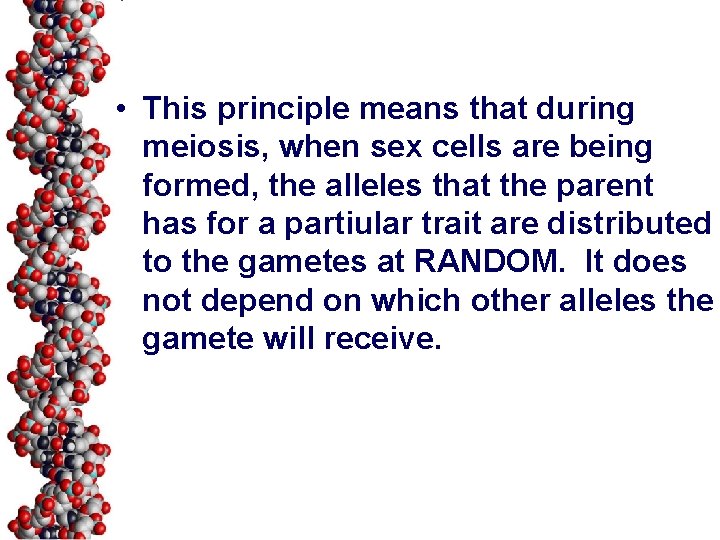  • This principle means that during meiosis, when sex cells are being formed,