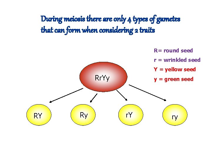 During meiosis there are only 4 types of gametes that can form when considering