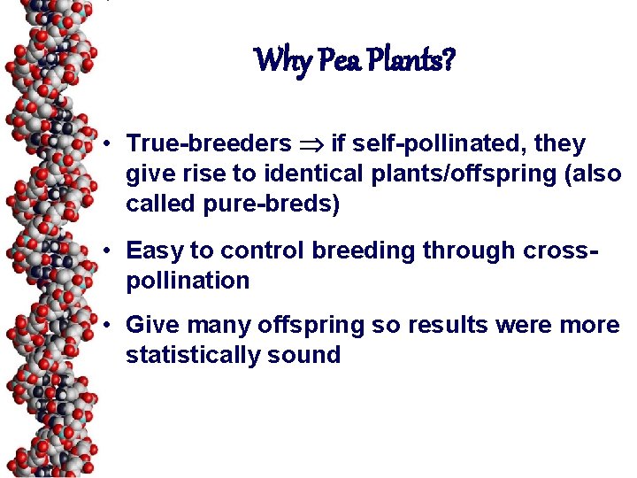 Why Pea Plants? • True-breeders if self-pollinated, they give rise to identical plants/offspring (also