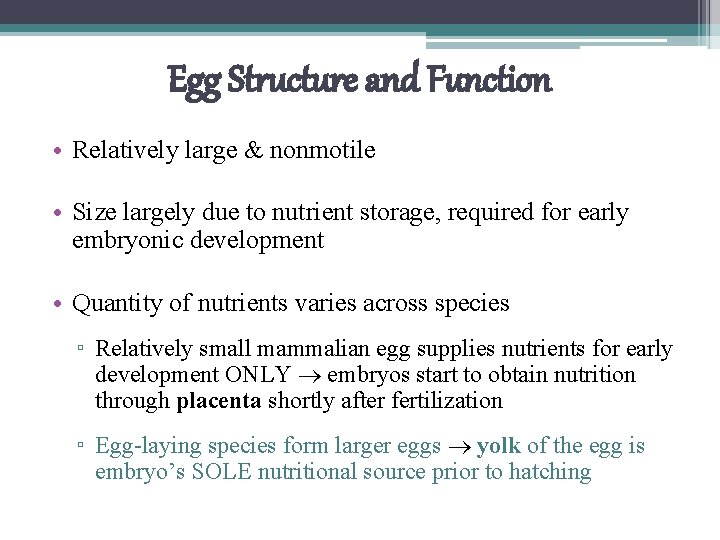 Egg Structure and Function • Relatively large & nonmotile • Size largely due to