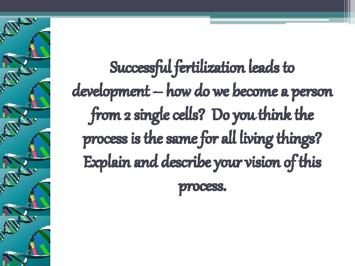 Successful fertilization leads to development – how do we become a person from 2