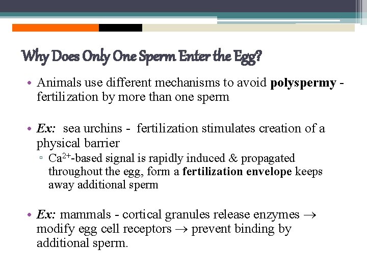Why Does Only One Sperm Enter the Egg? • Animals use different mechanisms to