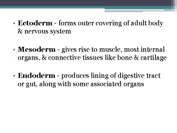  • Ectoderm - forms outer covering of adult body & nervous system •