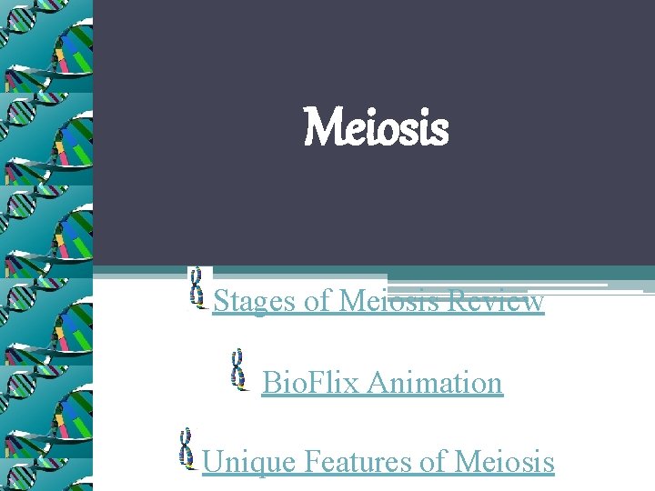 Meiosis Stages of Meiosis Review Bio. Flix Animation Unique Features of Meiosis 