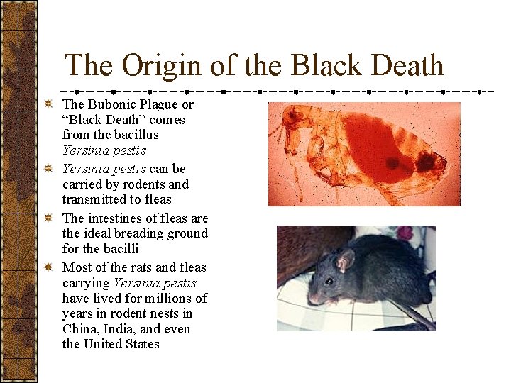 The Origin of the Black Death The Bubonic Plague or “Black Death” comes from