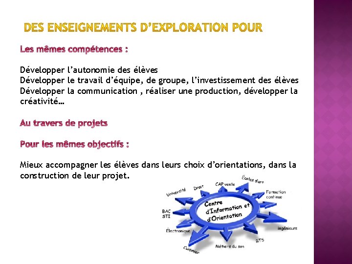 Développer l’autonomie des élèves Développer le travail d’équipe, de groupe, l’investissement des élèves Développer