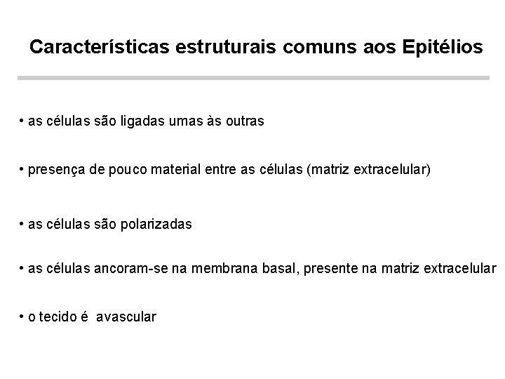 Características estruturais comuns aos Epitélios • as células são ligadas umas às outras •