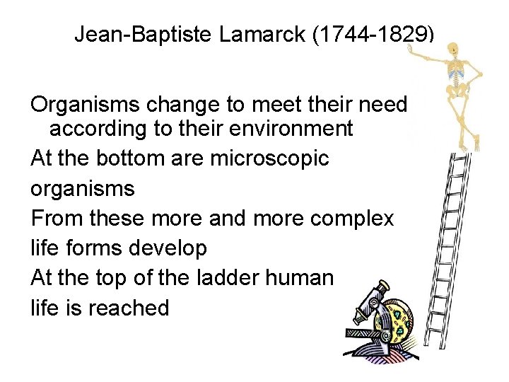 Jean-Baptiste Lamarck (1744 -1829) Organisms change to meet their needs according to their environment