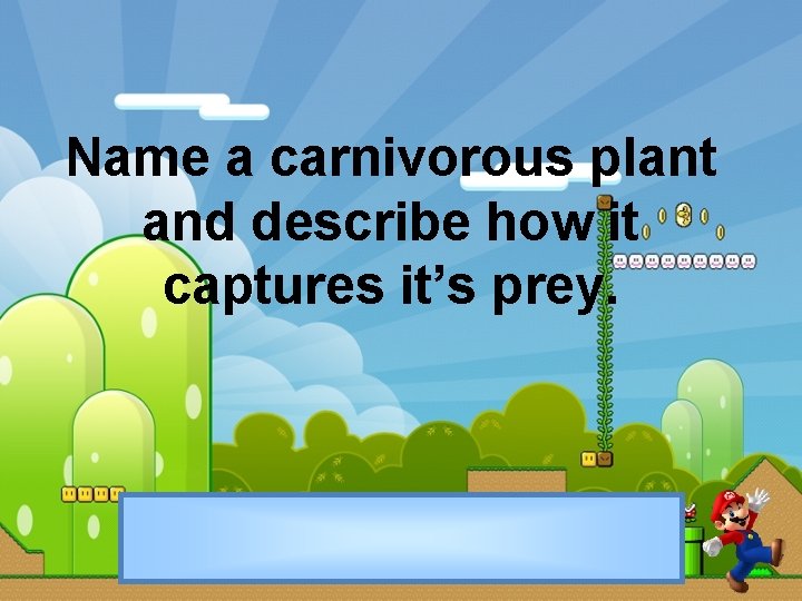Name a carnivorous plant and describe how it captures it’s prey. 