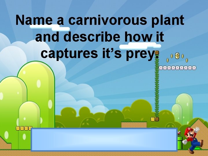 Name a carnivorous plant and describe how it captures it’s prey. 