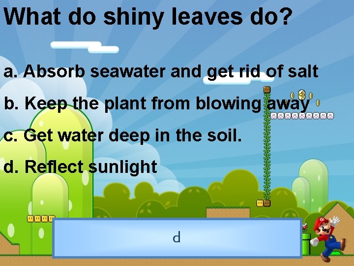 What do shiny leaves do? a. Absorb seawater and get rid of salt b.
