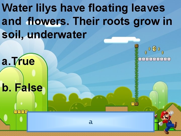 Water lilys have floating leaves and flowers. Their roots grow in soil, underwater a.