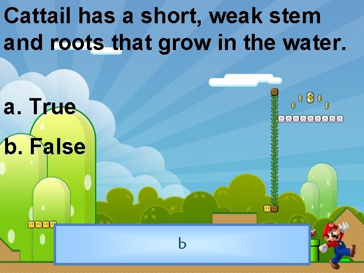 Cattail has a short, weak stem and roots that grow in the water. a.