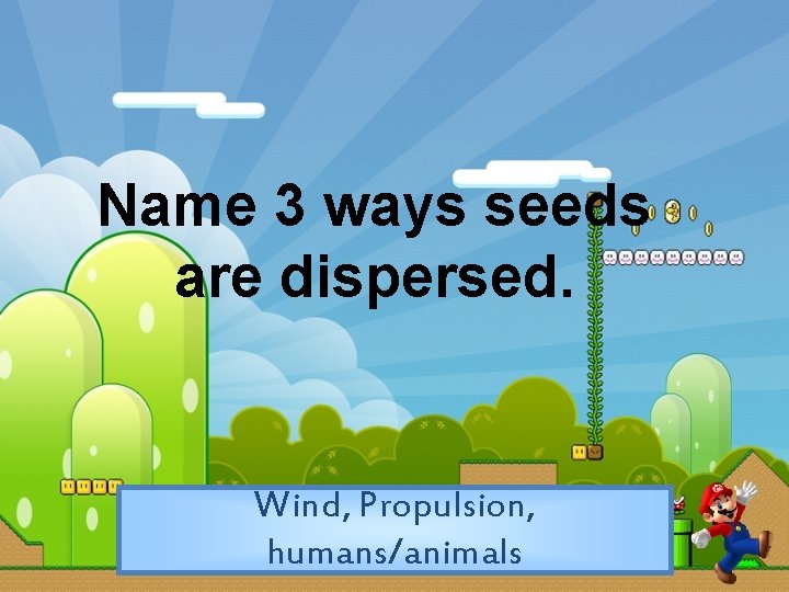 Name 3 ways seeds are dispersed. Wind, Propulsion, humans/animals 