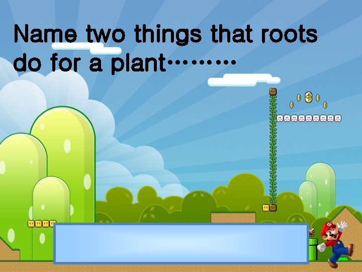 Name two things that roots do for a plant……… 