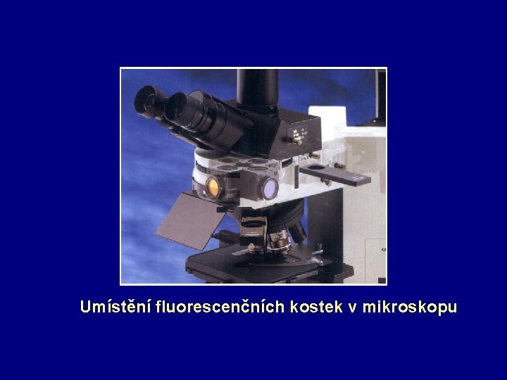 Umístění fluorescenčních kostek v mikroskopu 