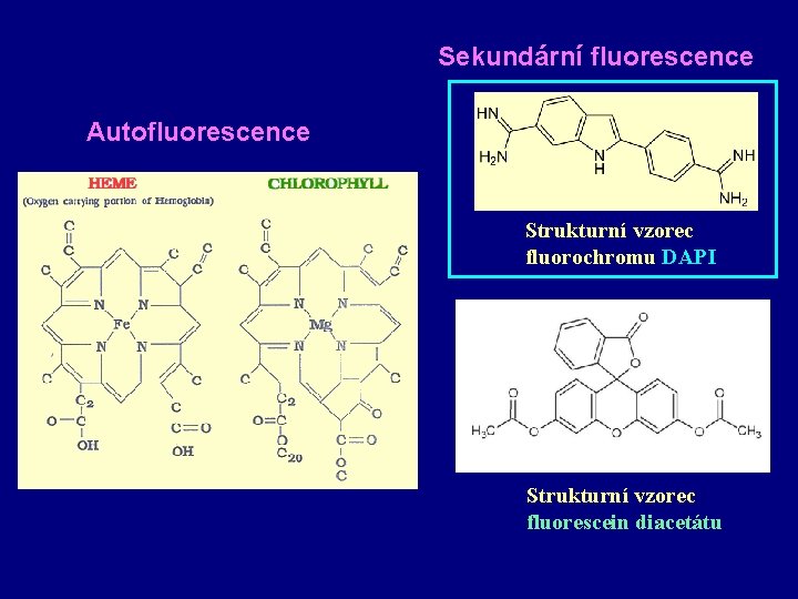 Sekundární fluorescence Autofluorescence Strukturní vzorec fluorochromu DAPI Strukturní vzorec fluorescein diacetátu 