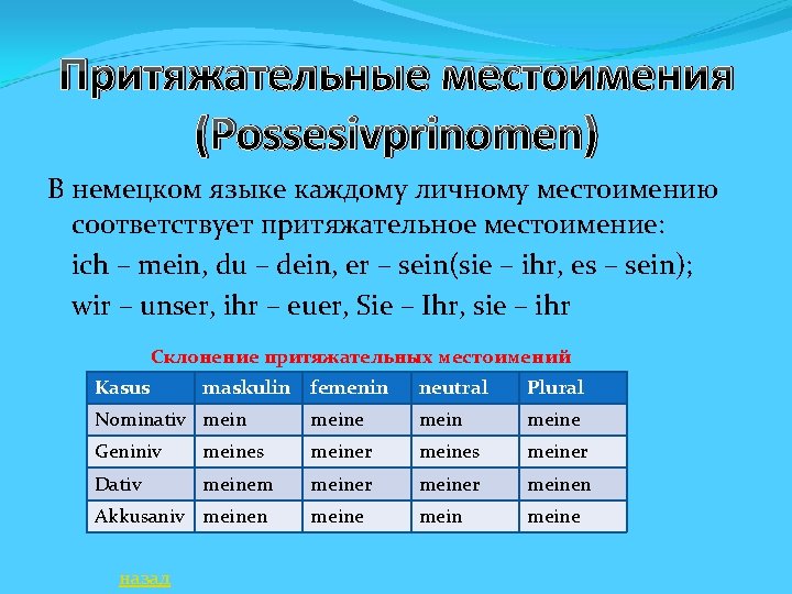 Притяжательные местоимения (Possesivprinomen) В немецком языке каждому личному местоимению соответствует притяжательное местоимение: ich –