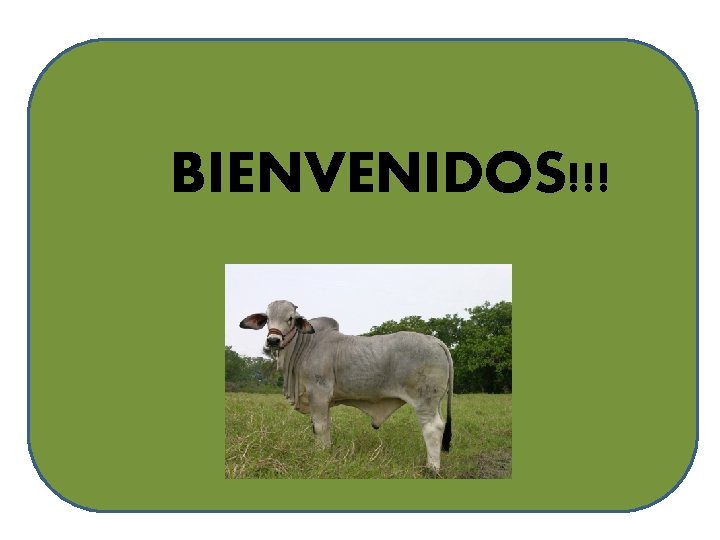 BIENVENIDOS!!! 