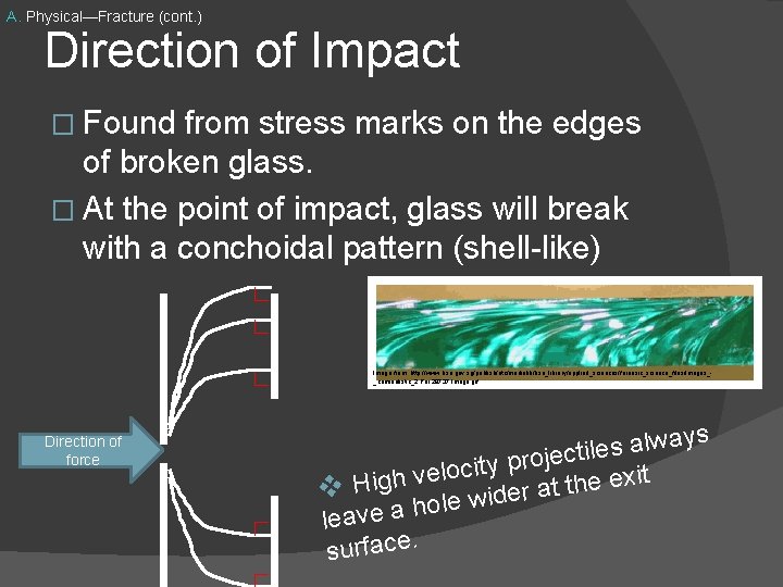 A. Physical—Fracture (cont. ) Direction of Impact � Found from stress marks on the