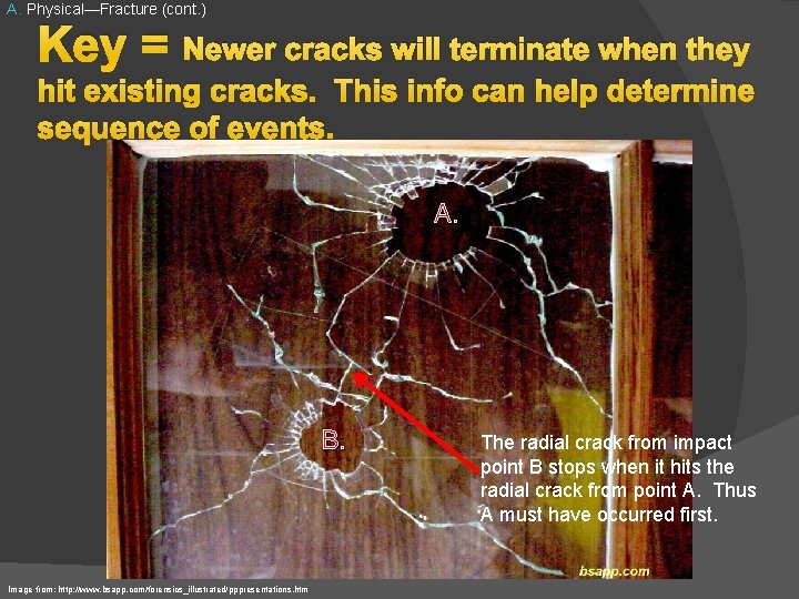 A. Physical—Fracture (cont. ) Key = Newer cracks will terminate when they hit existing