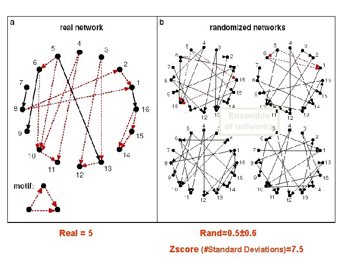 Ensemble of networks Real = 5 Rand=0. 5± 0. 6 Zscore (#Standard Deviations)=7. 5