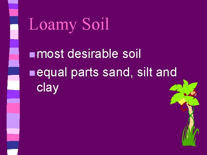 Loamy Soil n most desirable soil n equal parts sand, silt and clay 