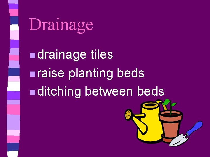 Drainage n drainage tiles n raise planting beds n ditching between beds 