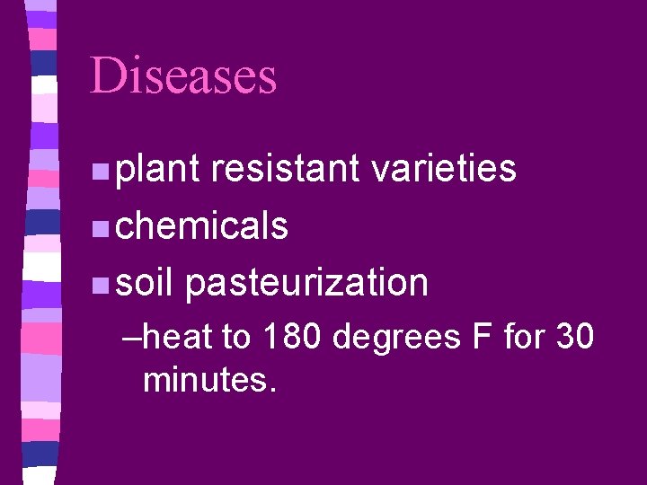 Diseases n plant resistant varieties n chemicals n soil pasteurization –heat to 180 degrees