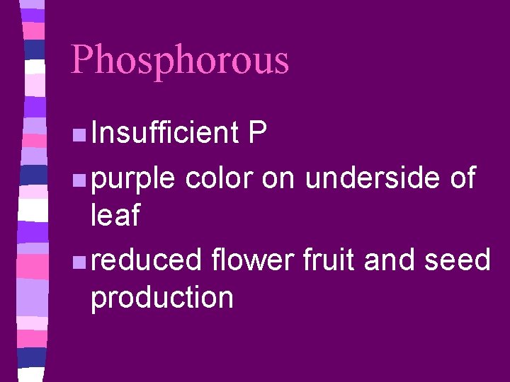 Phosphorous n Insufficient P n purple color on underside of leaf n reduced flower