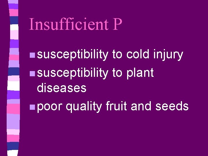 Insufficient P n susceptibility to cold injury n susceptibility to plant diseases n poor