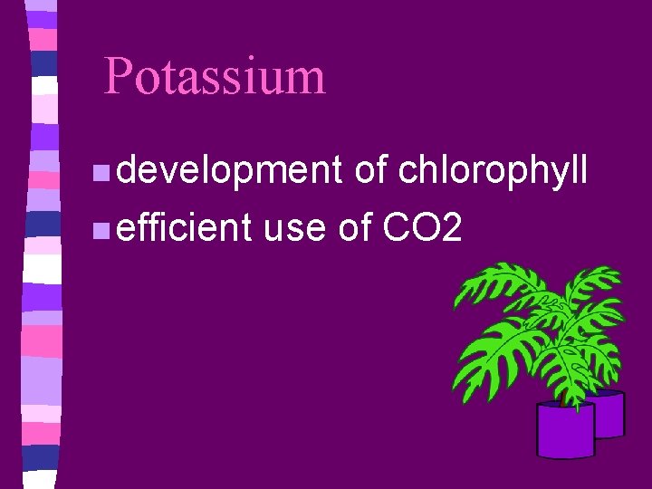 Potassium n development of chlorophyll n efficient use of CO 2 