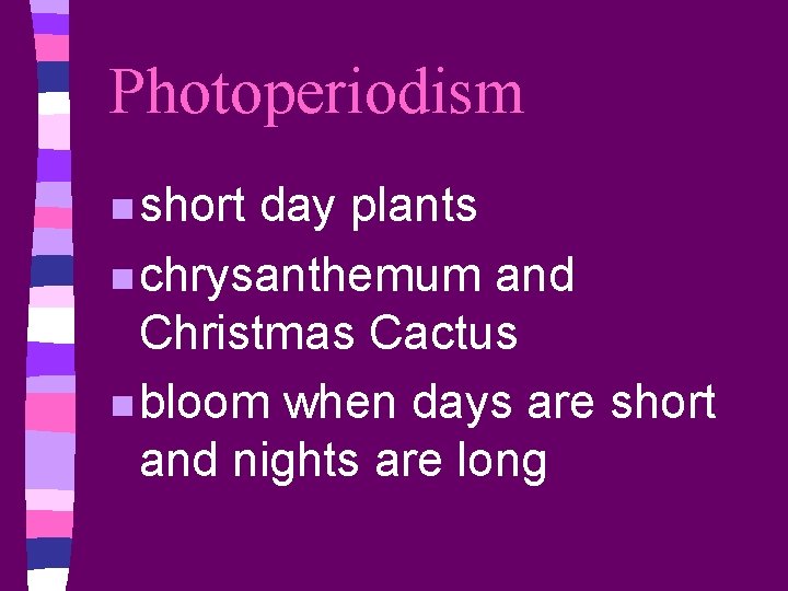 Photoperiodism n short day plants n chrysanthemum and Christmas Cactus n bloom when days