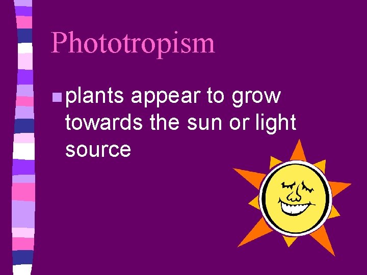 Phototropism n plants appear to grow towards the sun or light source 