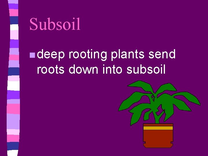 Subsoil n deep rooting plants send roots down into subsoil 