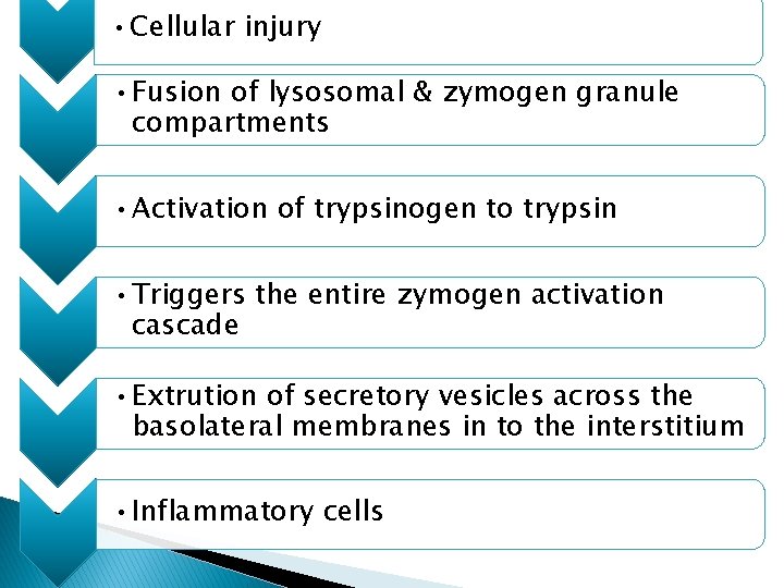  • Cellular injury • Fusion of lysosomal & zymogen granule compartments • Activation