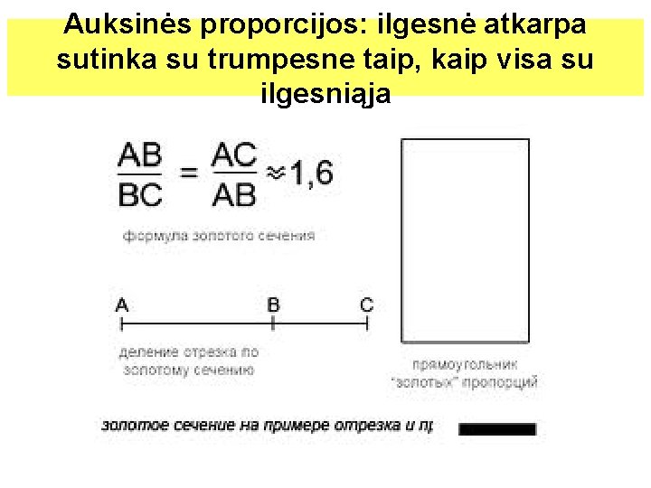 Auksinės proporcijos: ilgesnė atkarpa sutinka su trumpesne taip, kaip visa su ilgesniąja 