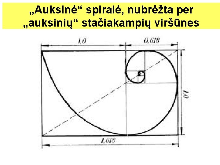 „Auksinė“ spiralė, nubrėžta per „auksinių“ stačiakampių viršūnes 