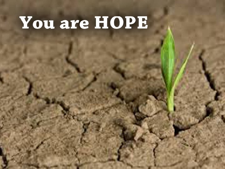 You are joy, You are joy You're the reason that I sing You are