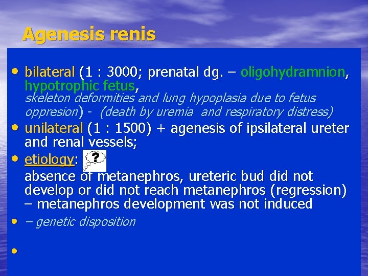 Agenesis renis • bilateral (1 : 3000; prenatal dg. – oligohydramnion, hypotrophic fetus, skeleton