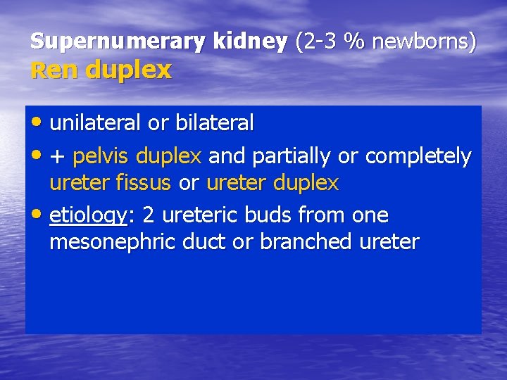 Supernumerary kidney (2 -3 % newborns) Ren duplex • unilateral or bilateral • +