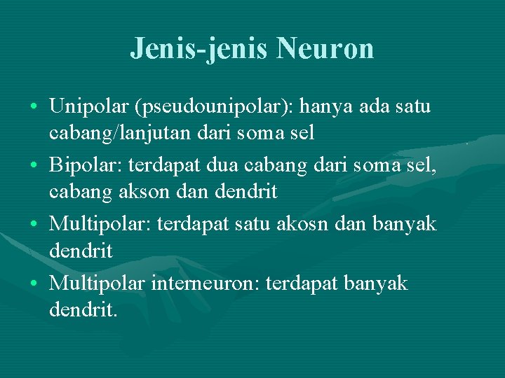 Jenis-jenis Neuron • Unipolar (pseudounipolar): hanya ada satu cabang/lanjutan dari soma sel • Bipolar:
