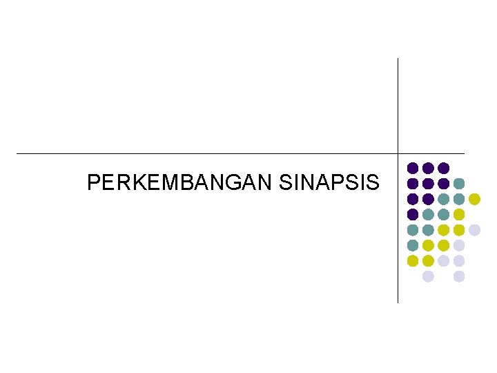 PERKEMBANGAN SINAPSIS 