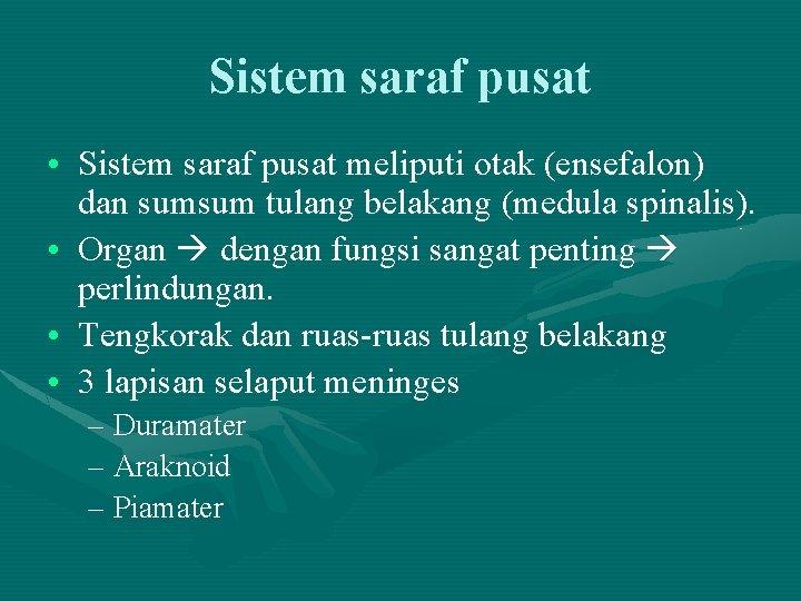 Sistem saraf pusat • Sistem saraf pusat meliputi otak (ensefalon) dan sumsum tulang belakang