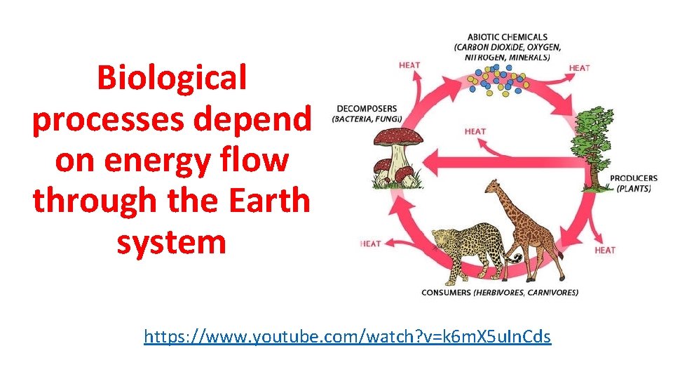 Biological processes depend on energy flow through the Earth system https: //www. youtube. com/watch?