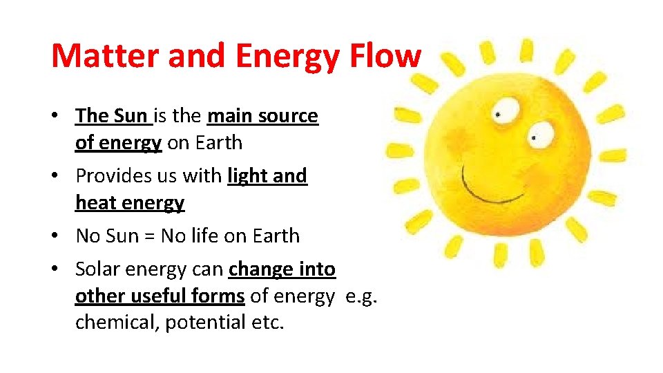 Matter and Energy Flow • The Sun is the main source of energy on