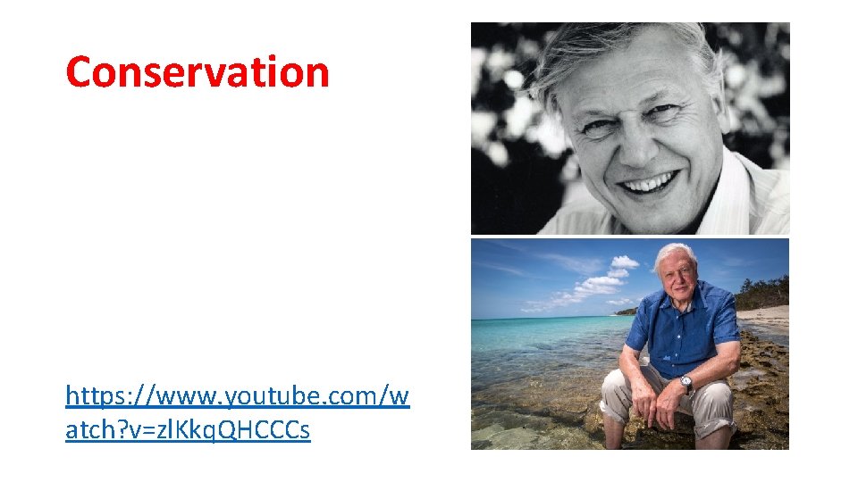 Conservation https: //www. youtube. com/w atch? v=zl. Kkq. QHCCCs 