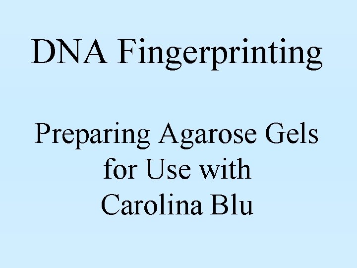 DNA Fingerprinting Preparing Agarose Gels for Use with Carolina Blu 