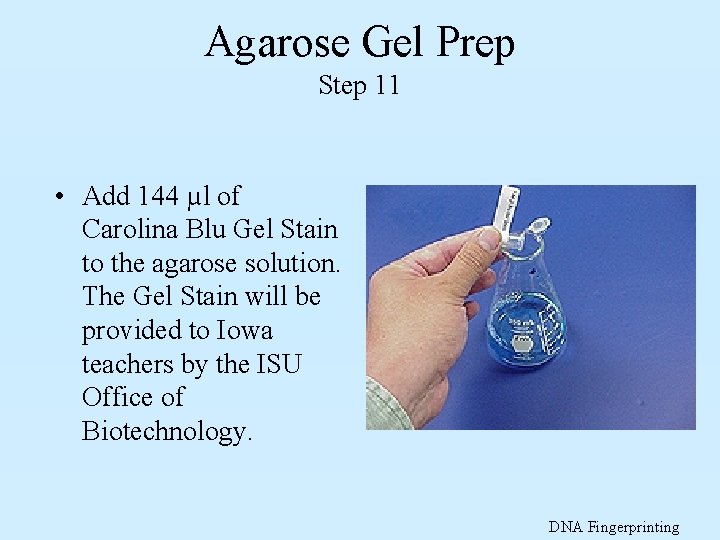 Agarose Gel Prep Step 11 • Add 144 µl of Carolina Blu Gel Stain